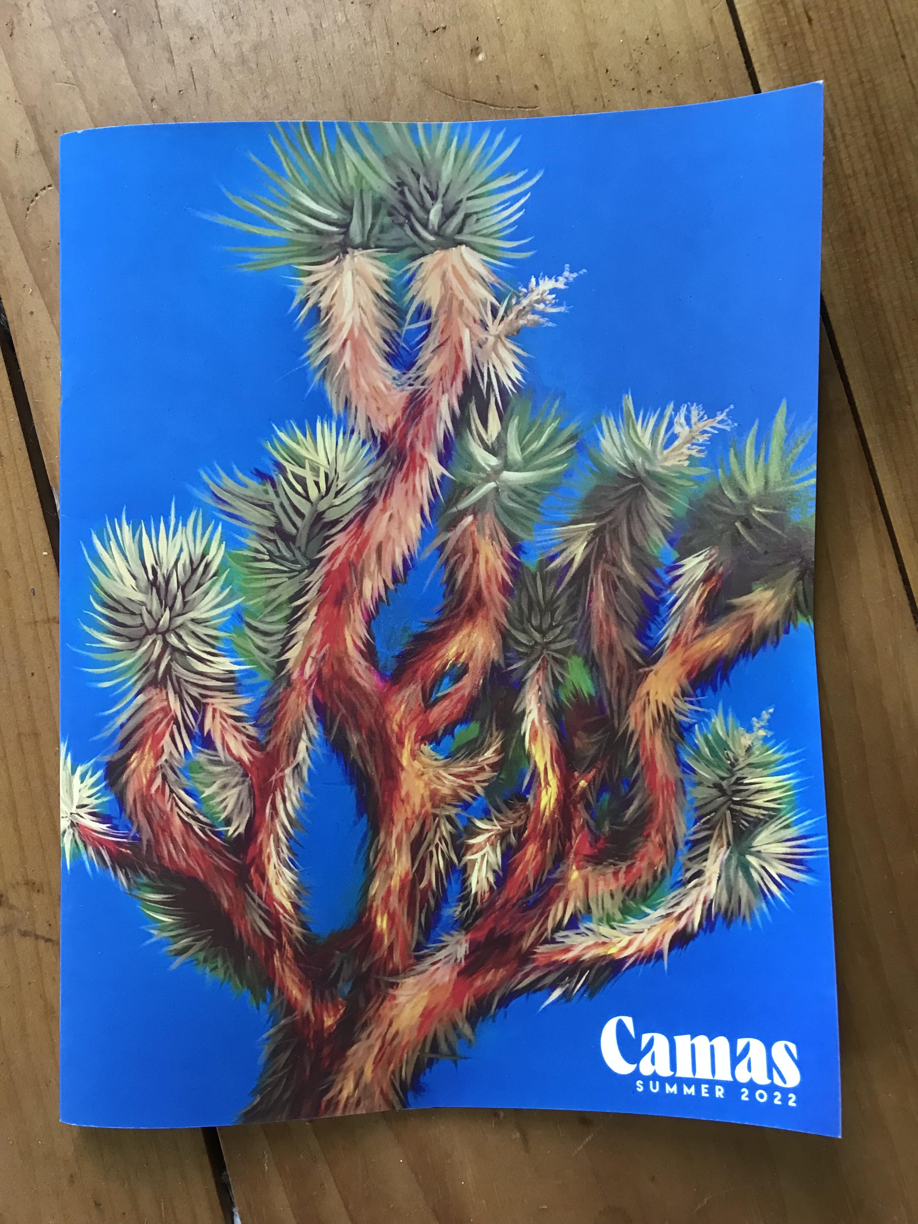 Photograph of the magazine cover with a painting of a Joshua Tree against a bright blue background.