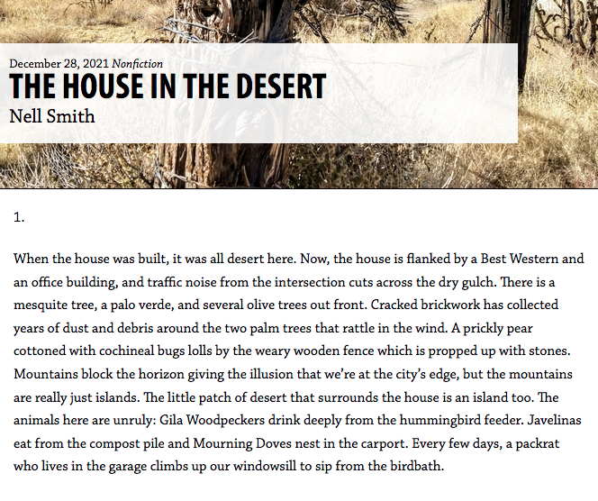 Screenshot of article