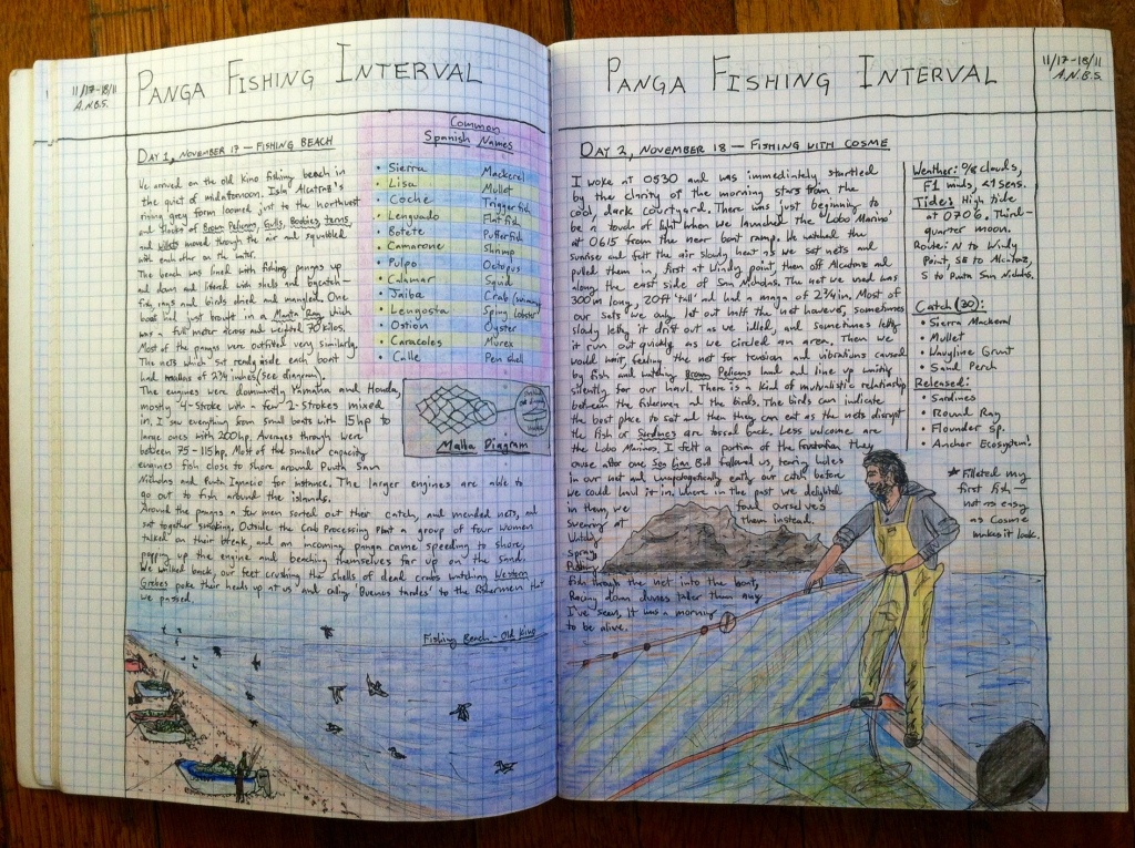 Pages from field notebook showing panga fisherman pulling in nets