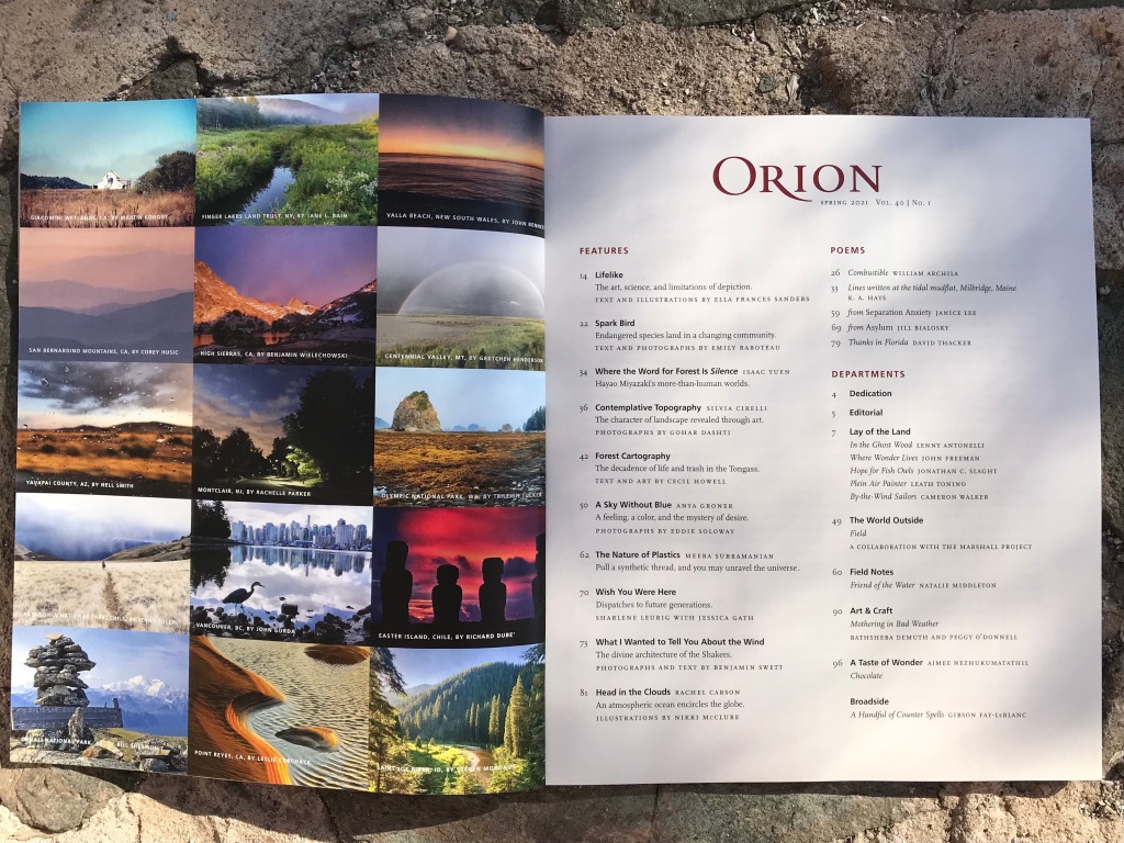 Orion Magazine's Murmuration Section featuring 15 images in a grid